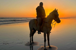 Authentic Arabian Horse Trek: Salalah Coastal Heritage