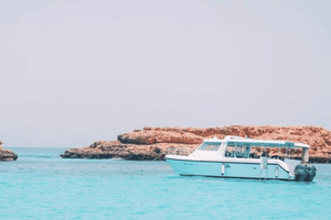 Dimaniyat Eiland Dagvullende Tour in Muscat