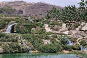Oost-Salalah overdag en 's avonds: kameel-, waterval- en souk-tour