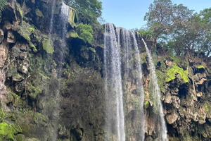 Explore Khareef Salalah: Ain Athum & Wadi Darbat Half-Day