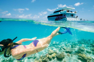 From Muscat: Dimaniyat Islands Snorkeling Tour