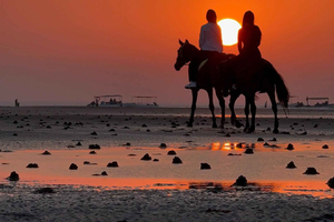 Ridning på Muscat | Ridning på stranden