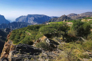 Jabal Akhdar: wyprawa po róże i tarasy