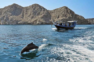 Musandam Khasab -päiväristeily kuljetuksilla ja lounaalla