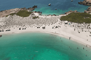 Muscat: Daymaniat Islands Boat Tour with Snorkeling&Brunch