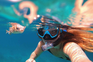 Muscat: Daymaniyat Island Snorkeling with Turtles Tour
