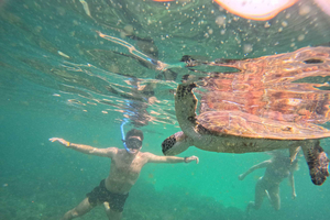 Mascate: tour in barca e snorkeling alle Isole Daymaniyat