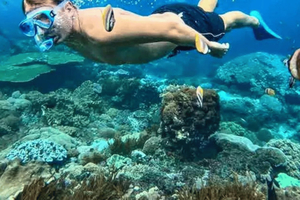 Muscat: Daymaniyat-eilanden snorkelen met schildpadden en ophalen