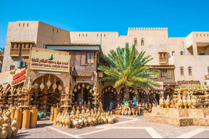 Muscat : Nizwa & Birkat AlMouz historical tour and lunch