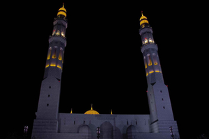 Muscat : private evening or night tour 4 hours With transfer