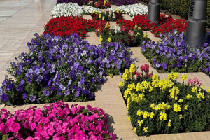 Muscat: Private Half-Day City Tour of Main Landmarks