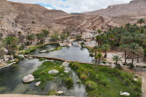 Muscat: Wadi Bani Khalid & zonsondergang bij Wahiba Sands