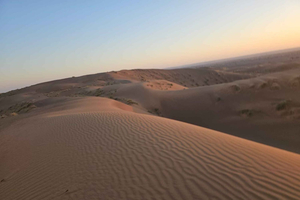 Muskat: Heldagsutflykt till Wadi Bani Khalid och Wahiba Sands