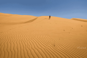 Muscat: Wahiba Sands Desert & Wadi Bani Khalid kokopäiväretki