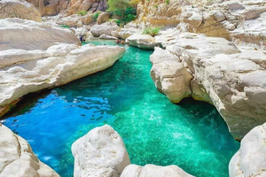 Muscat: Wahiba Sands & Wadi Bani Khalid Dagvullende tour+Lunch