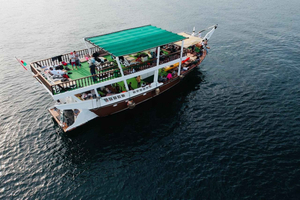 Mystic Musandam heldags havssafari