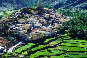 Nakhal, Wadi Bani Awf, Bilad Sayt & Nizwa Full-Day Tour