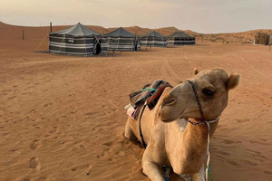 Overnight Desert Adventure: 4WD Luxury Safari in Salalah