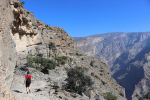 Privé trektocht van een hele dag in de Grand Canyon (balkonwandeling)