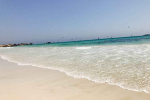 Salalah: Al Haffa Beach Private Tour with Meal