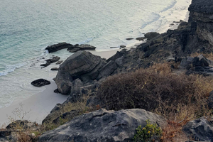 Salalah: West Salalah Tour with Fazayah Beach Swim, Turtles