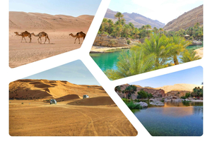Wahiba Sands ja Wadi Bani Khalid kokopäiväretki Muscatista käsin