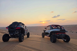 Wahiba Sands dunebuggy zelfrijden: 1 uur avontuur in de woestijn