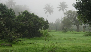 Fun and Rains in Oman