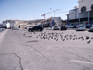 Al Raha Hotel