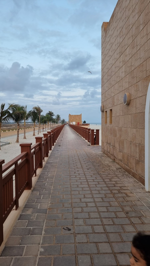 الحماية القصوى