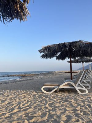 Beach Bar