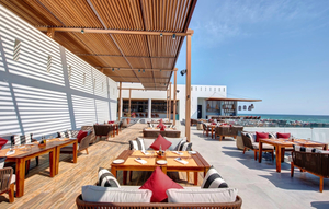Dolphin Terrazza