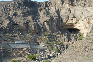 Exploring the Mesmerizing Spring Blossoms in Oman