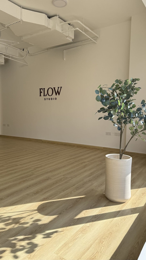 Flow Studio