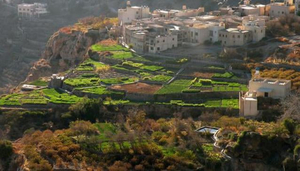 Jebel Akhdhar