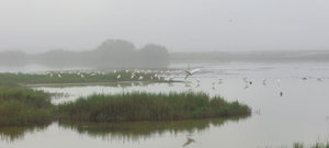 خور الدهاريز