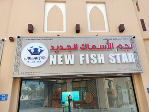 New Fish Star