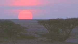 Nomadic Adventures And Tours