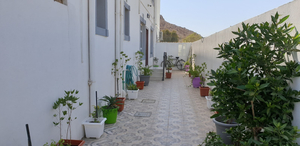 Orient Apartments