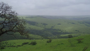 Salalah