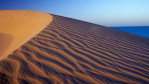 Wahiba Sands