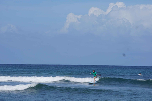 Bocas del Toro: Surf Trip with Board Rental and Transfer
