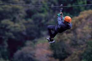 Boquete: Canopy en krets med 12 linjer, Chiriquí
