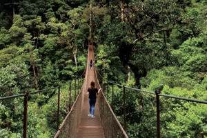 Boquete, Chiriquí: Hängebrücken & Wandererlebnis
