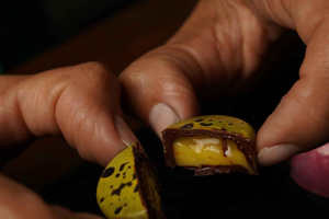 Chocoladeproefbeleving in Panama-stad - Casco Antiguo
