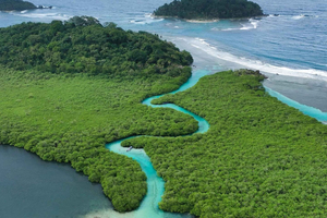 Da Panama City: Tour turistico dei Caraibi + Portobelo + Mangrovie e Spiagge