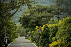 Desde ciudad de Panamá: excursión de 1 día a El Valle de Antón