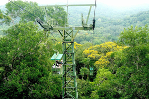 Från Panama City: Gamboa Rainforest Guidad tur med lunch