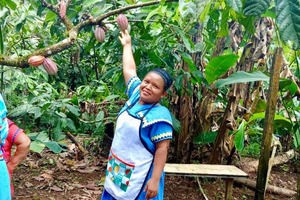 Kakao-Tour zu den Ureinwohnern in Bocas del Toro