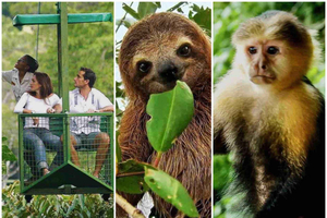 Panamá: Buffet, Teleférico, Paseo en Barco por Gatún, Santuario de los Perezosos